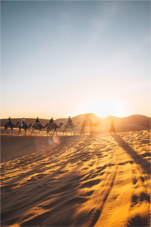 Main image Caravane au lever du soleil – Sahara