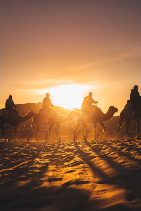 Main image Silhouettes dans le soleil levant – Sahara