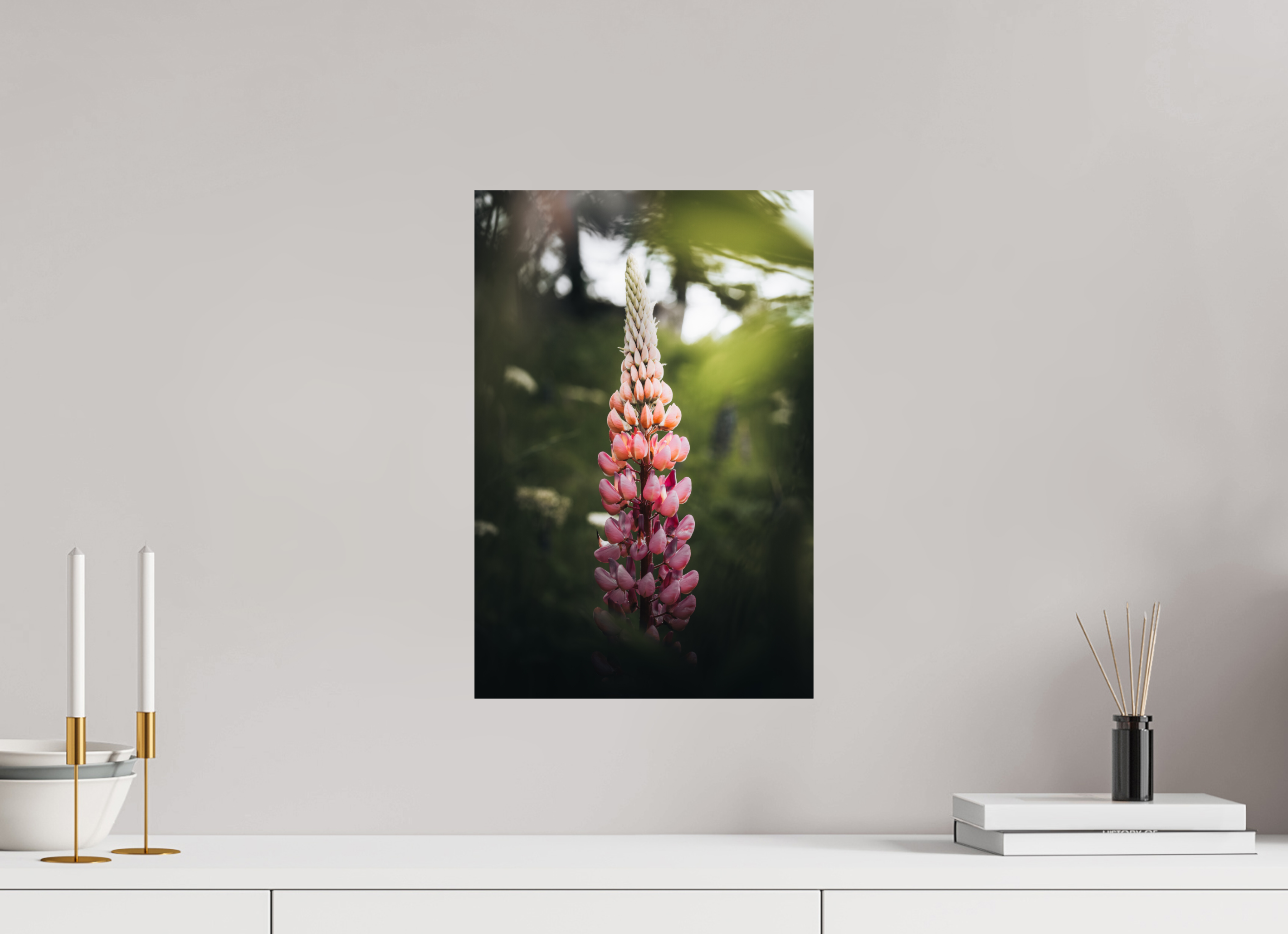 30 x 45 cm, Tirage Fine Art Premium Lupin rose au soleil du matin