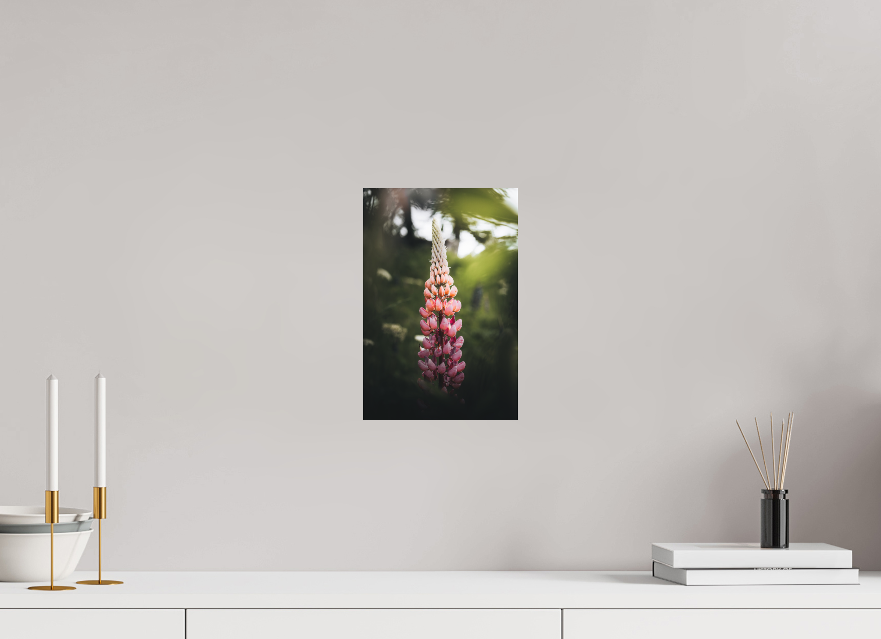 20 x 30 cm, Tirage Fine Art Premium + Lupin rose au soleil du matin