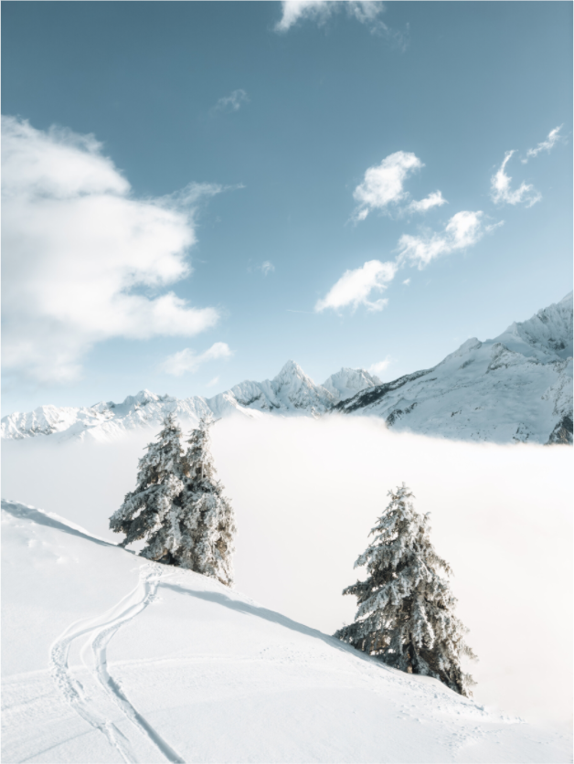 Main image Traces dans la poudre – Hiver en montagne