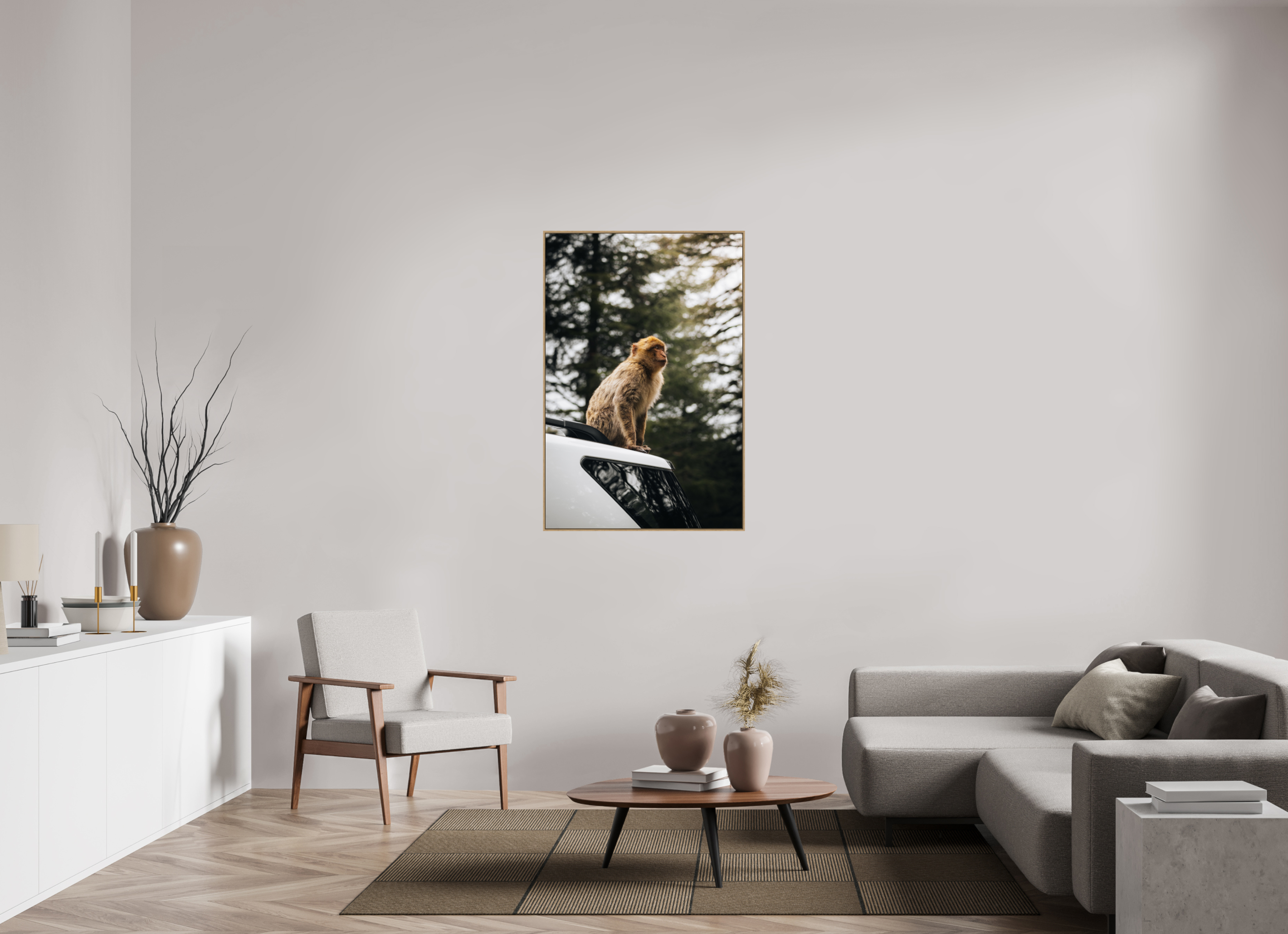 80 x 120 cm, Tirage sous Plexiglas encadré Singe marocain – Regard vers le ciel