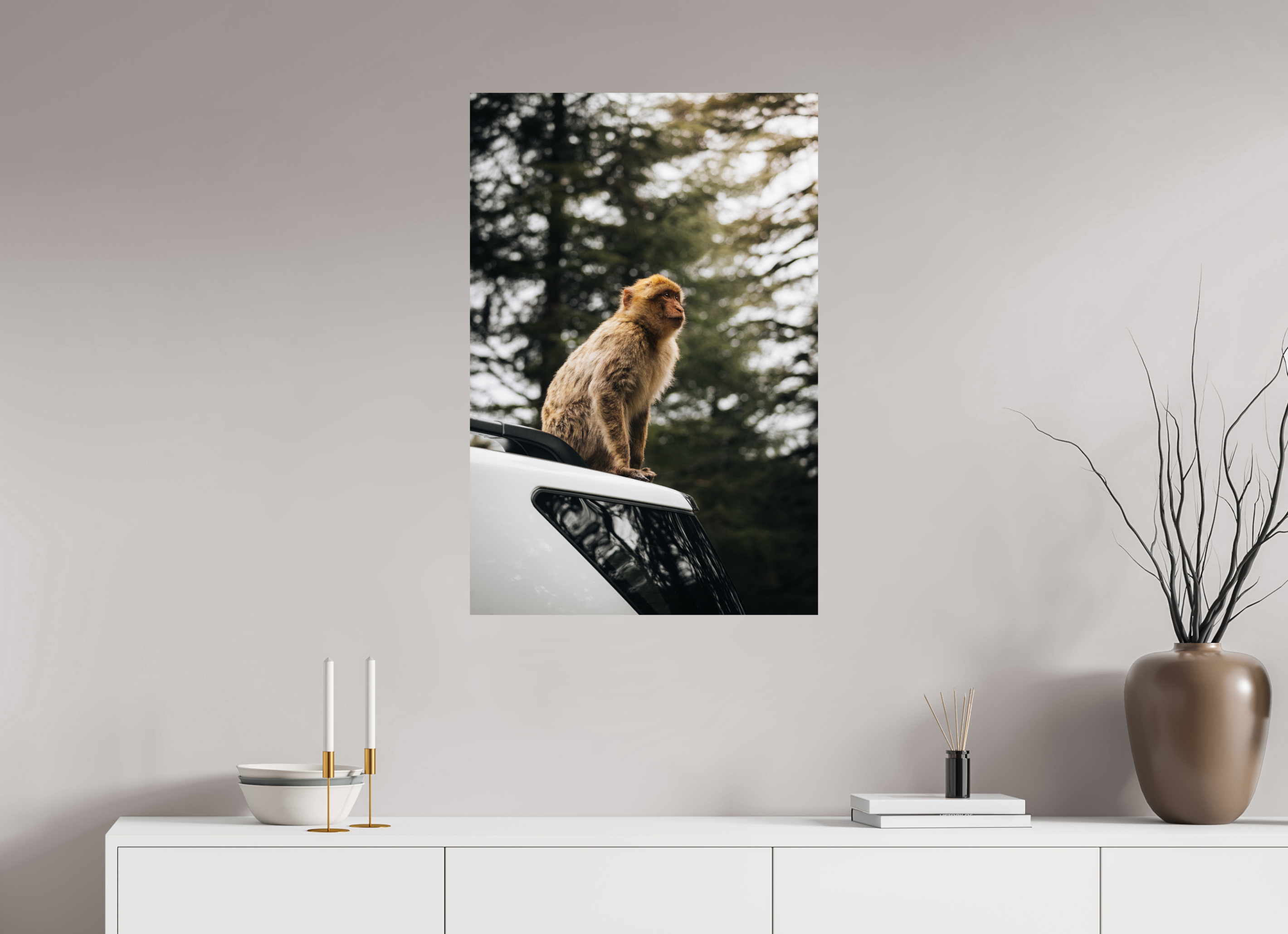 60 x 90 cm, Tirage Fine Art Premium Singe marocain – Regard vers le ciel