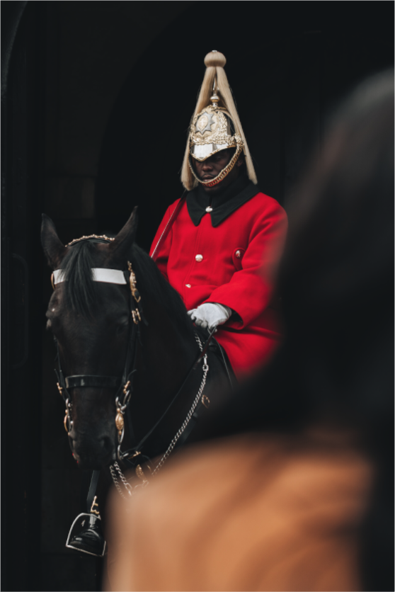 Main image Regard royal – Cheval et garde immobile