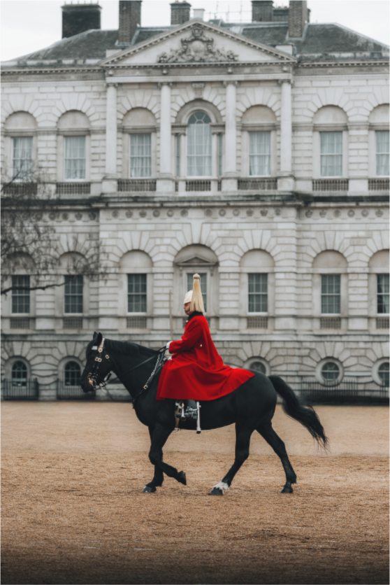 Main image Alignement parfait – Cavalier royal