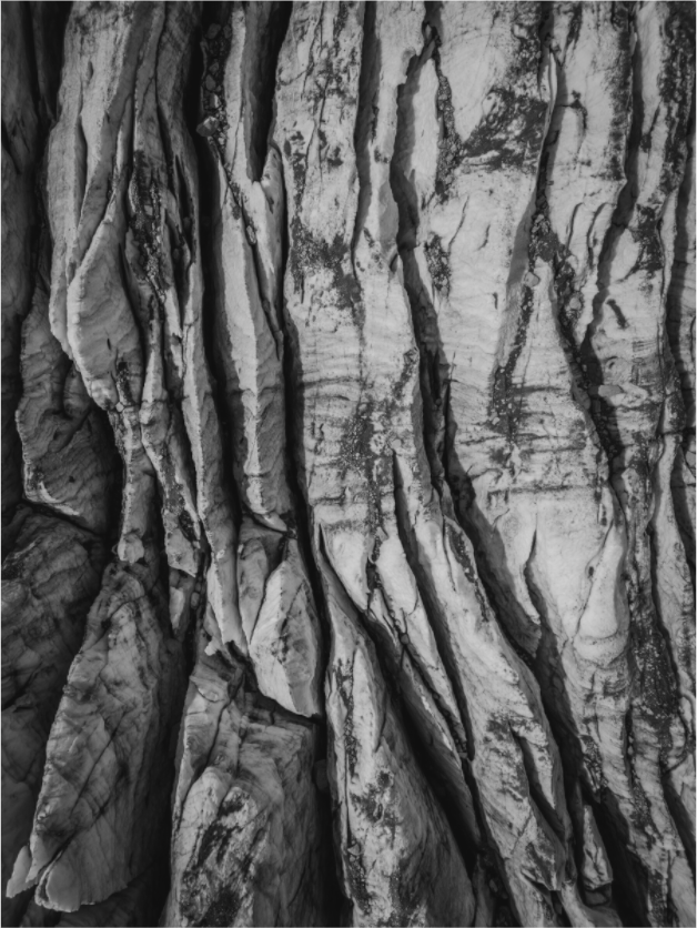 Main image Veines de Glace – Glacier du Tour en noir et blanc