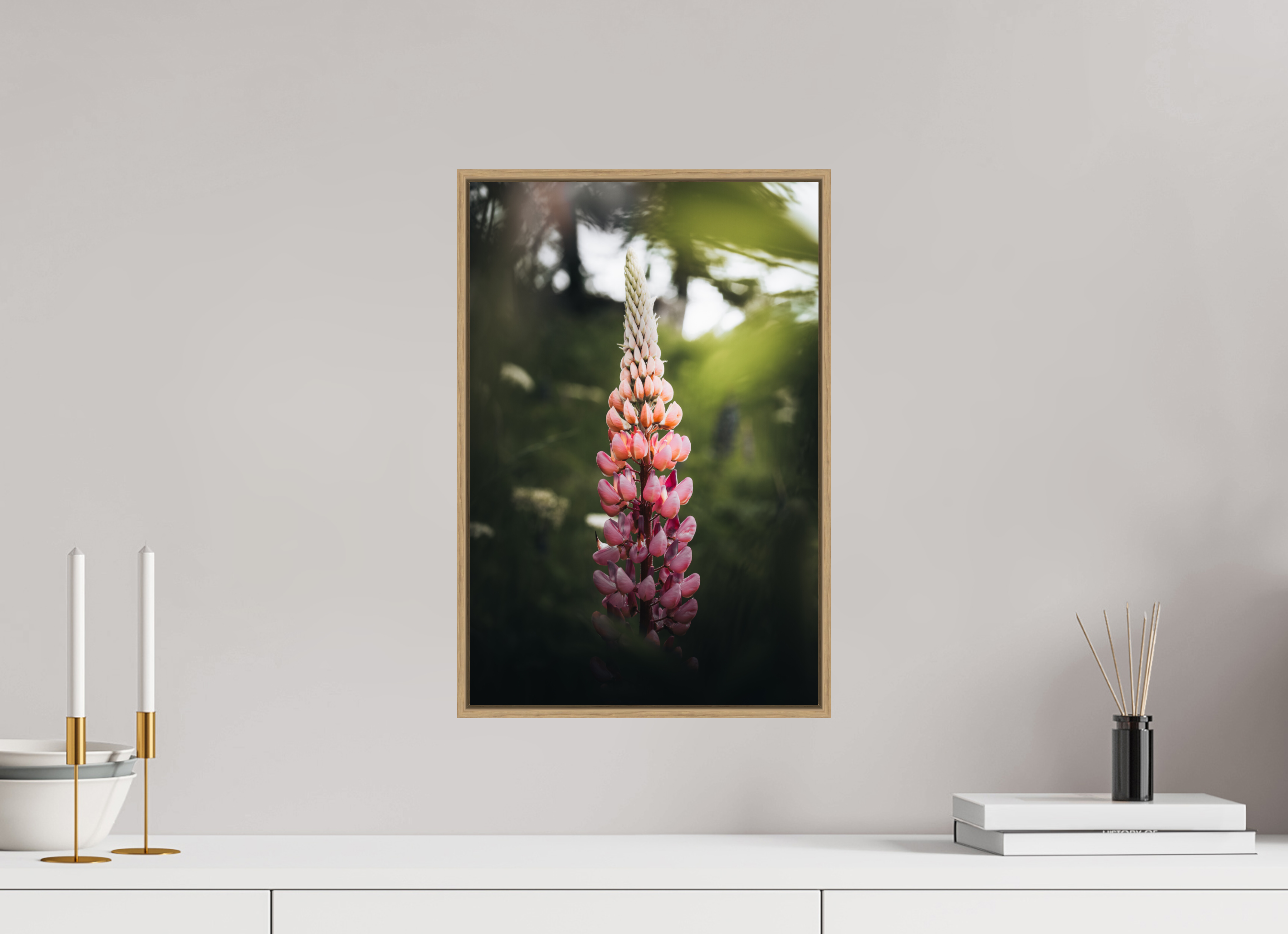 30 x 45 cm, Tirage sous Plexiglas encadré Lupin rose au soleil du matin