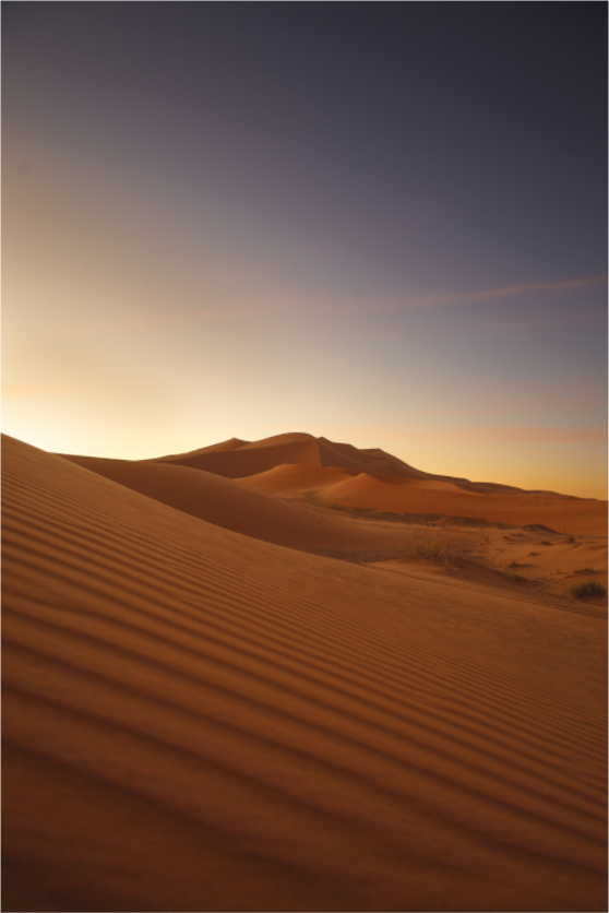 Main image Dune au lever du soleil