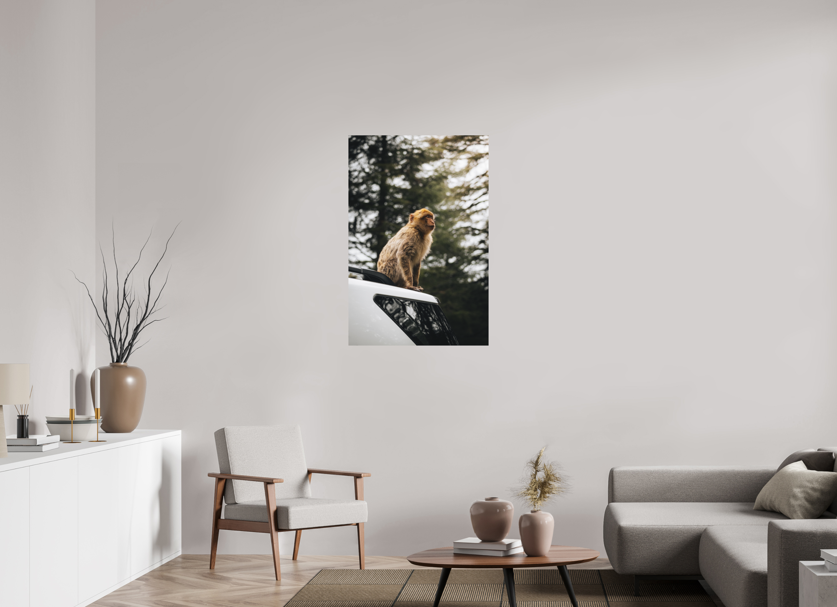 70 x 105 cm, Tirage Fine Art (Papier Mat) Singe marocain – Regard vers le ciel