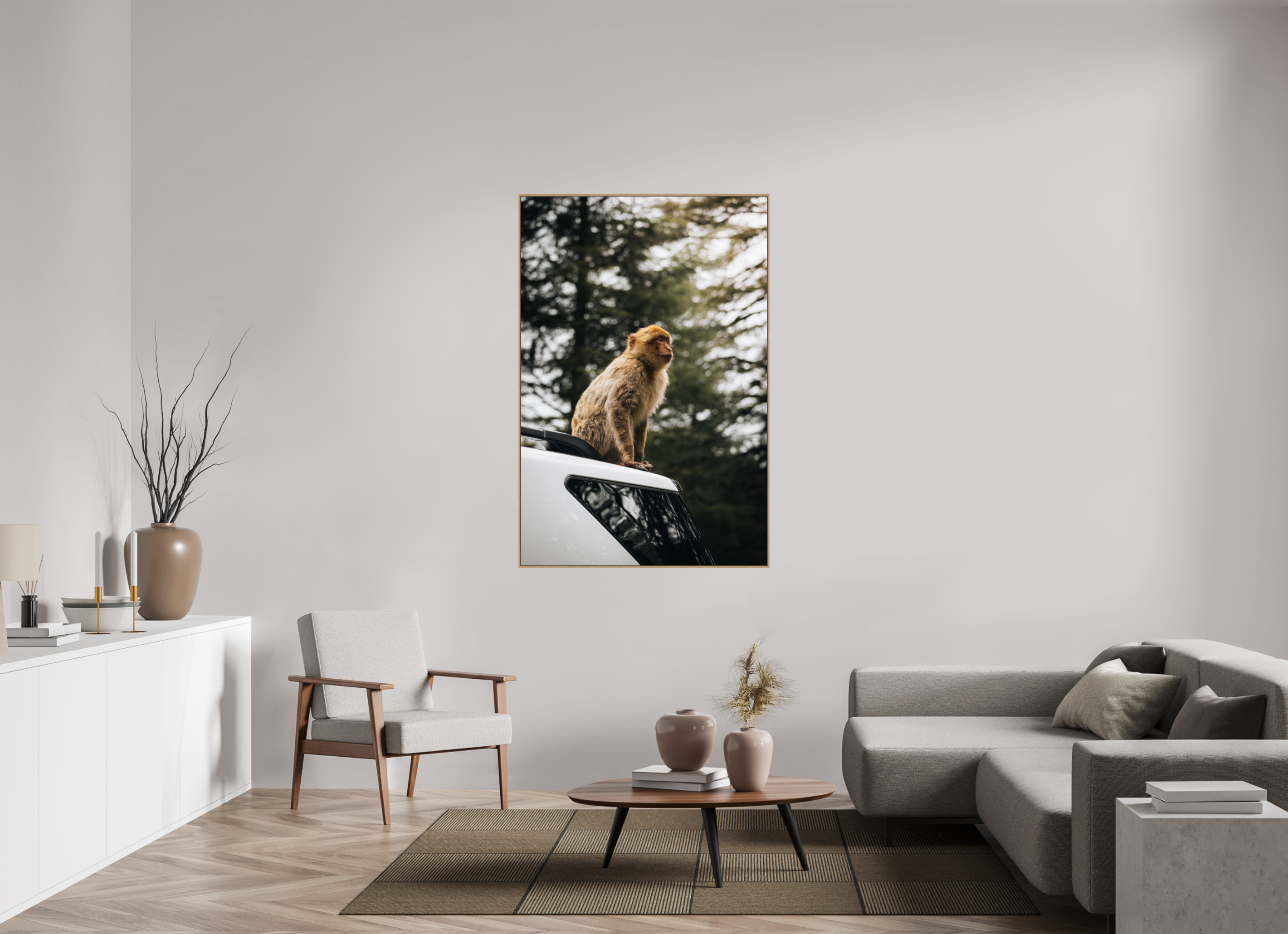 100 x 150 cm, Tirage sous Plexiglas encadré Singe marocain – Regard vers le ciel