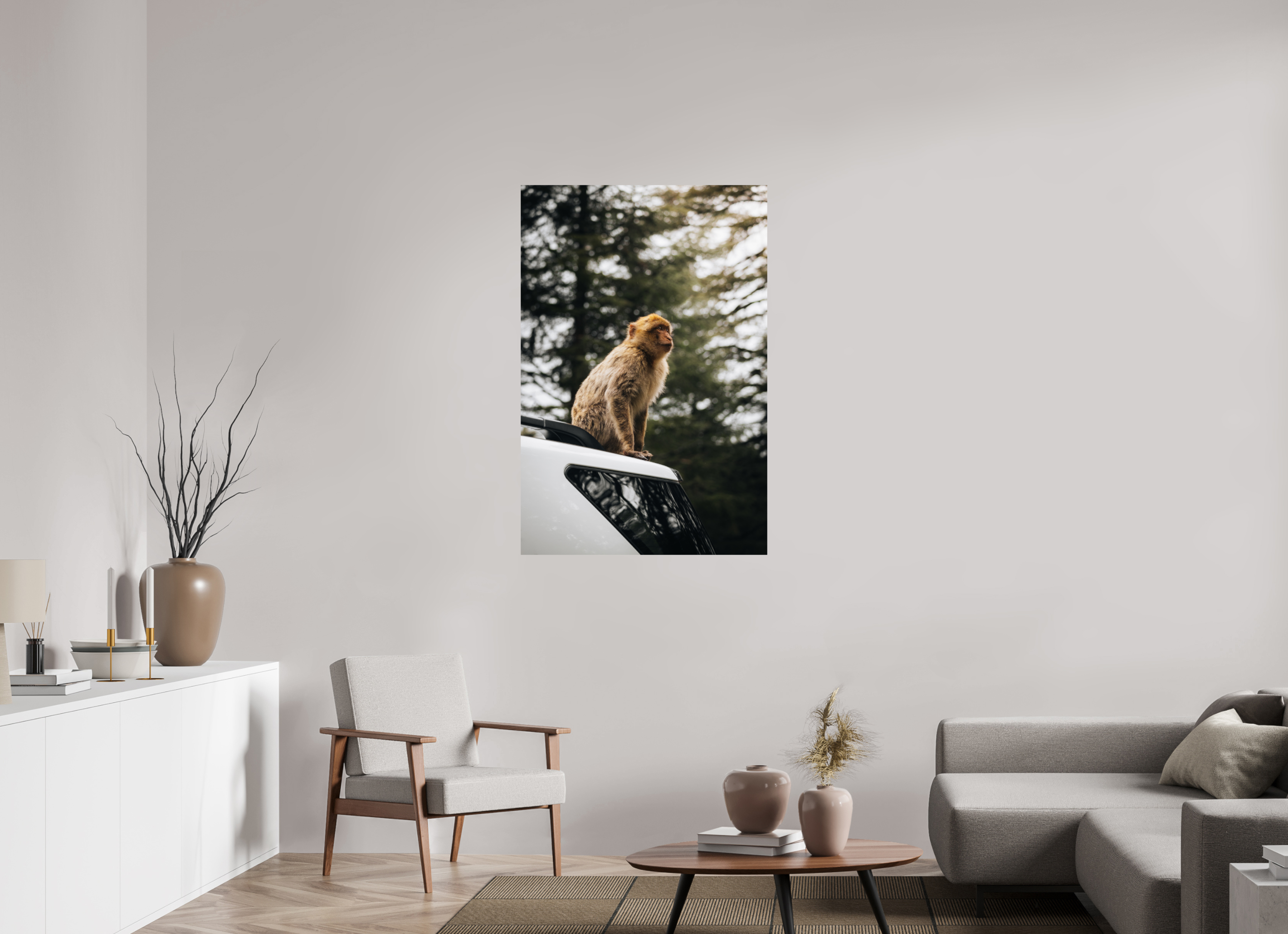 80 x 120 cm, Tirage Fine Art Premium Singe marocain – Regard vers le ciel