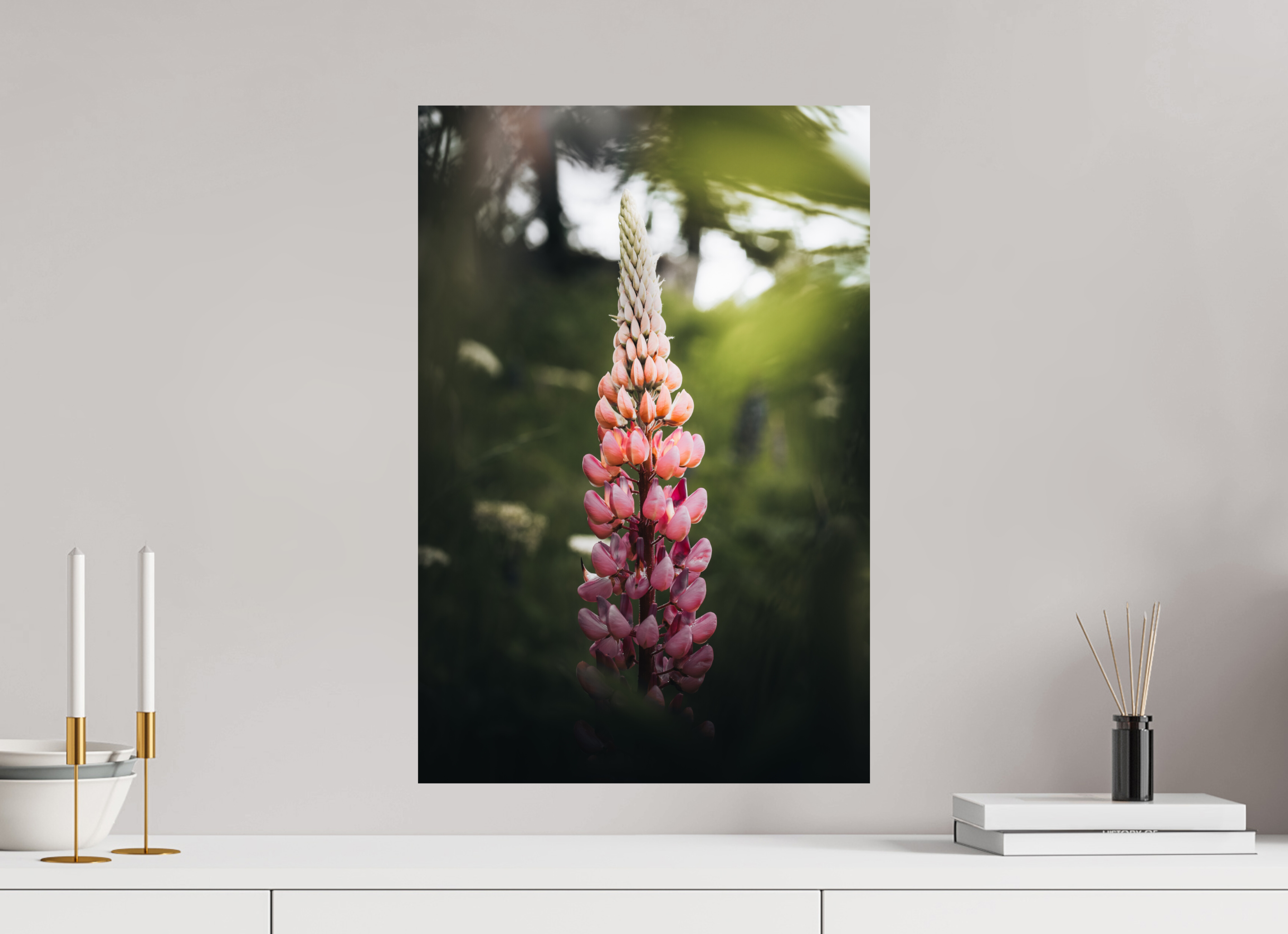 40 x 60 cm, Tirage Fine Art Premium Lupin rose au soleil du matin