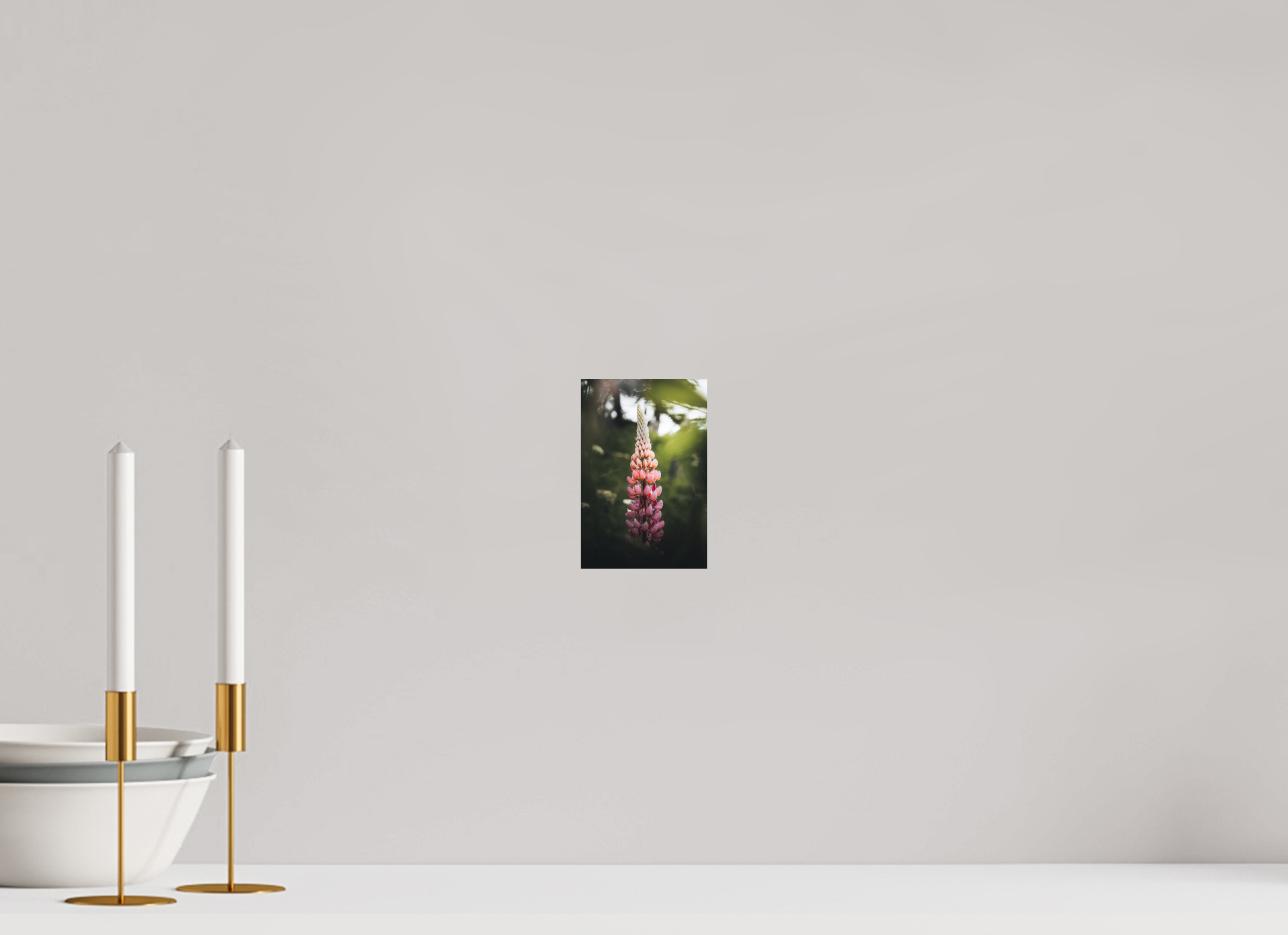 10 x 15 cm, Tirage Fine Art Premium + Lupin rose au soleil du matin